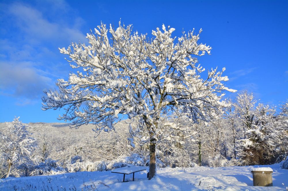 Photograph by Shota Gogoli