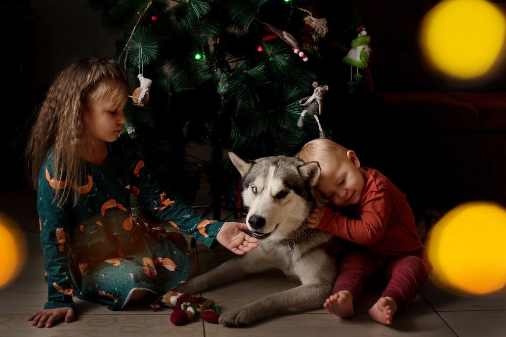 Фотография автора Екатерина Ковтун