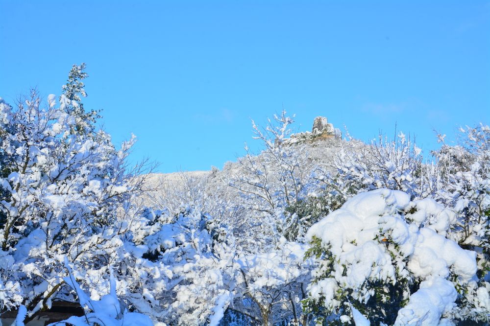 Photograph by Shota Gogoli