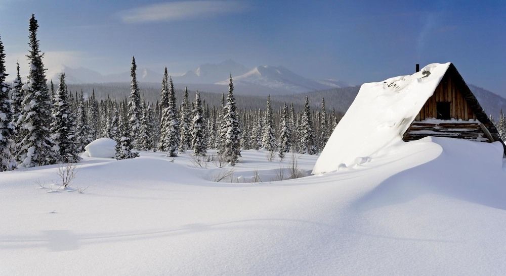 Фотография автора Татьяна Добровольская