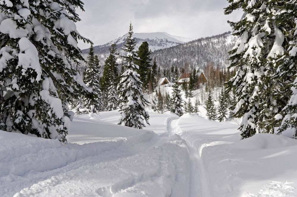 Фотография автора Татьяна Добровольская