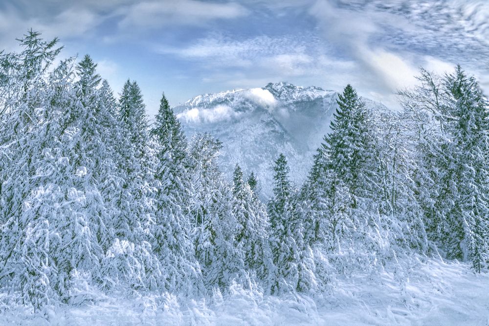 Photograph by Murat TOPAL