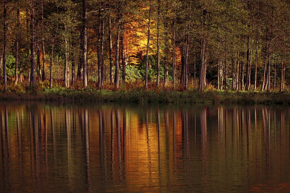 Photograph by Murat TOPAL