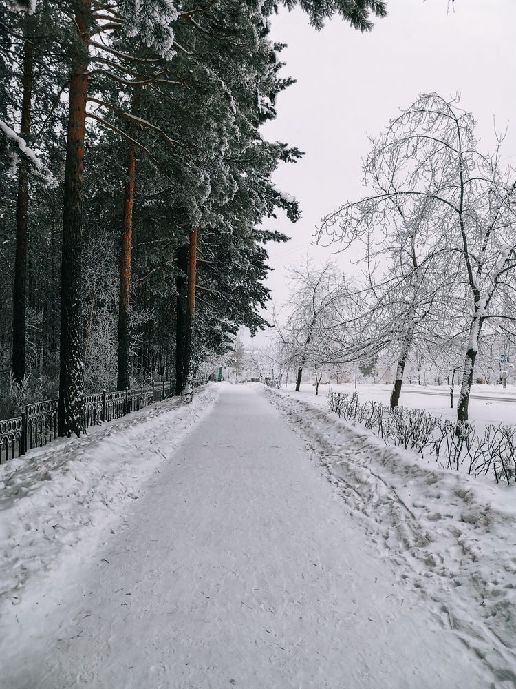 Photograph by Дмитрий Долгих