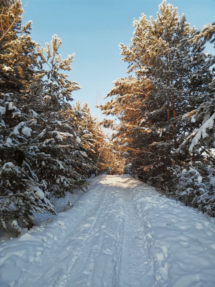 Photograph by Дмитрий Долгих