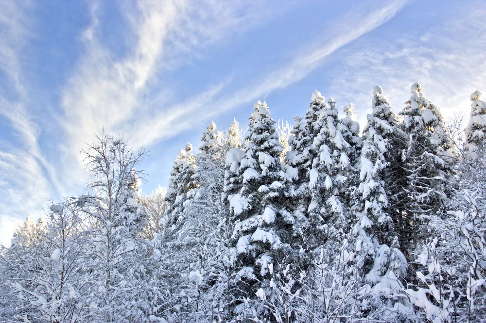 Фотография автора Эрнст Антонов