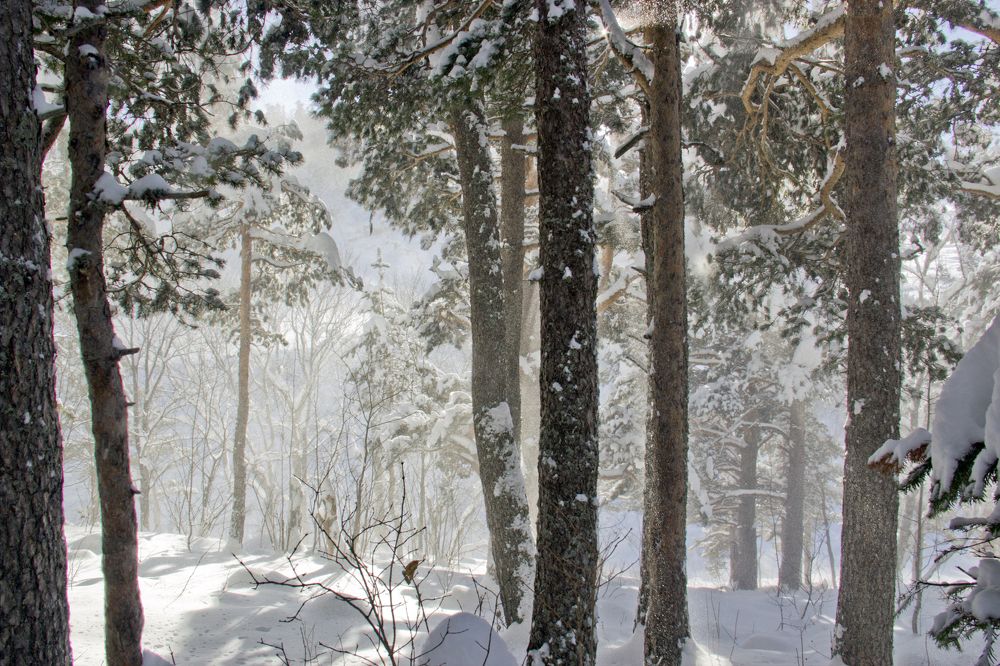 Фотография автора Эрнст Антонов