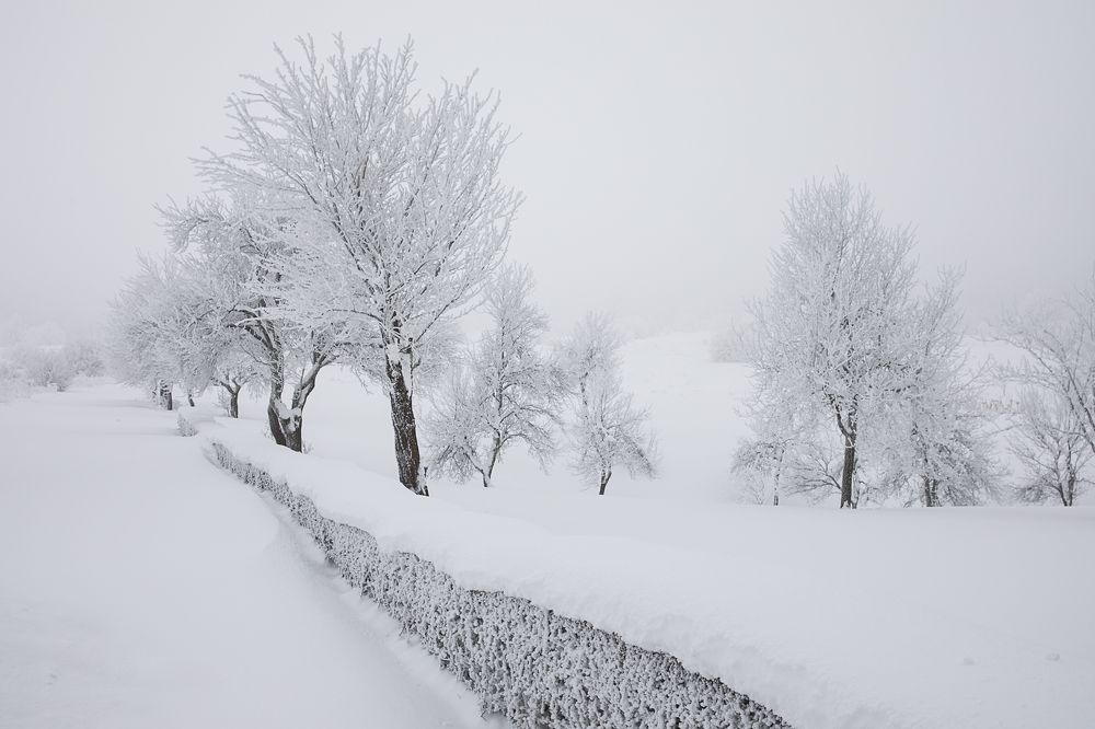 Photograph by Марина Маликова