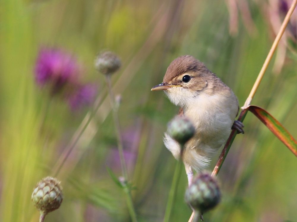 Photograph by Юлия Серазетдинова
