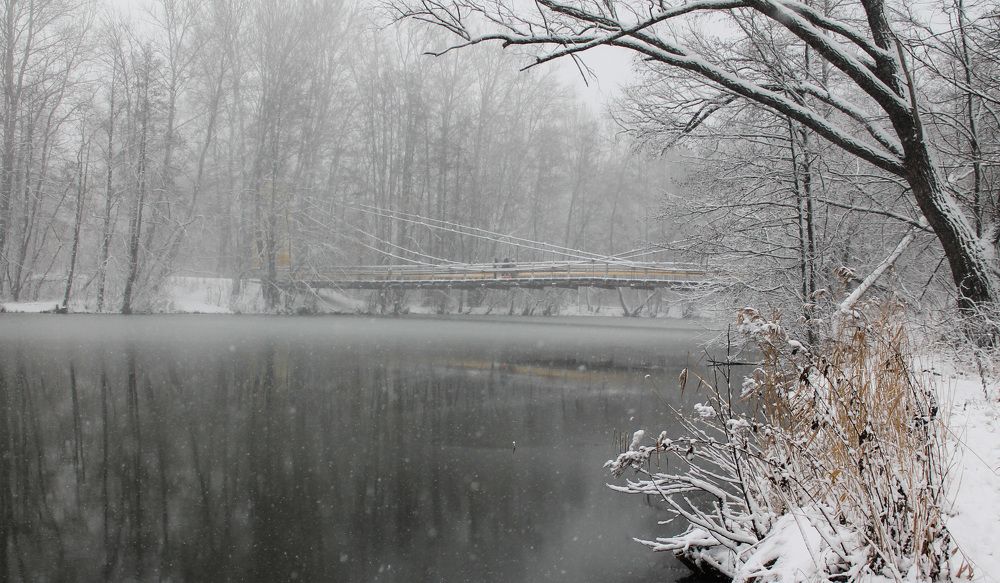 Photograph by Матвей Короткин