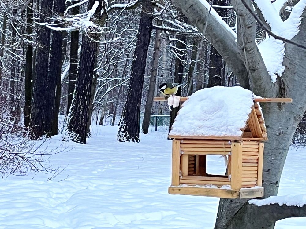 Птичье царство ... в Удельном...СПб...!)