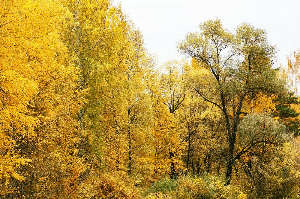 Фотография автора Рамиль Фаттахов