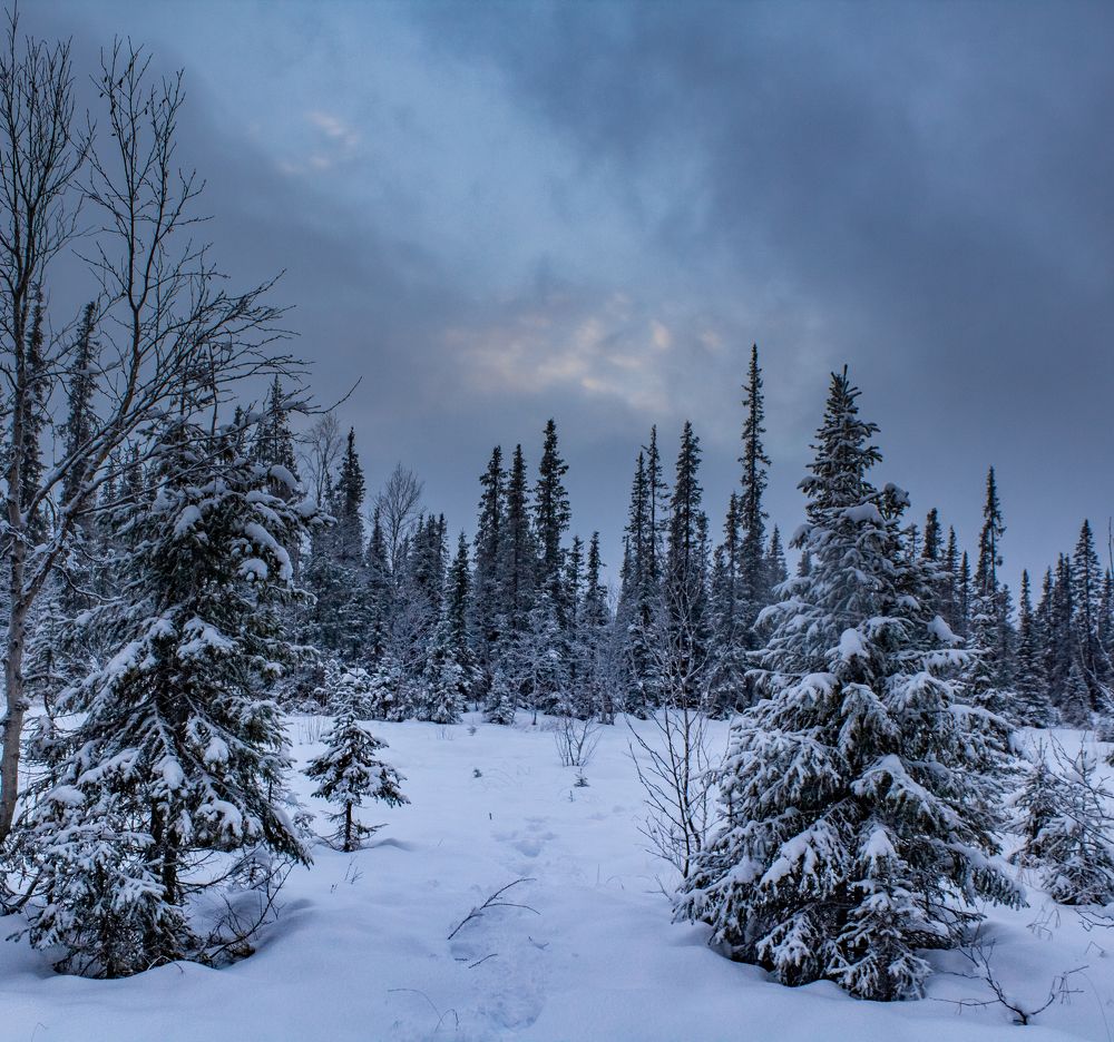 Photograph by Ирина Крепак