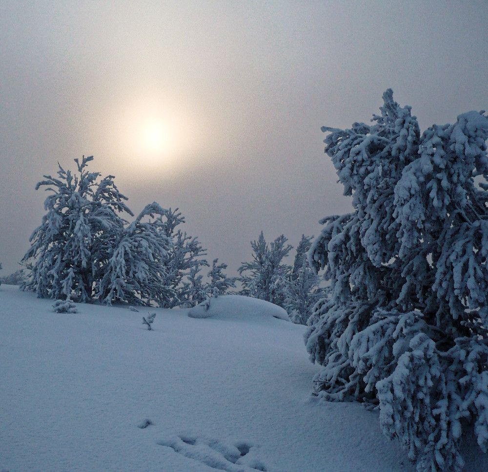 Зимнее безмолвие