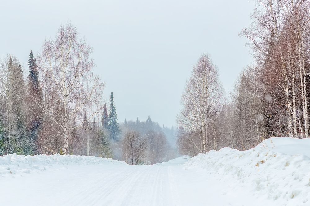 Photograph by Евгений Вяткин