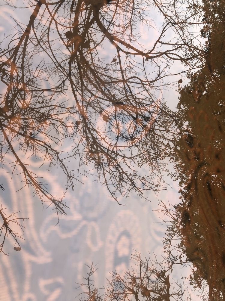 Photograph by Mehrzad Salimi khiati