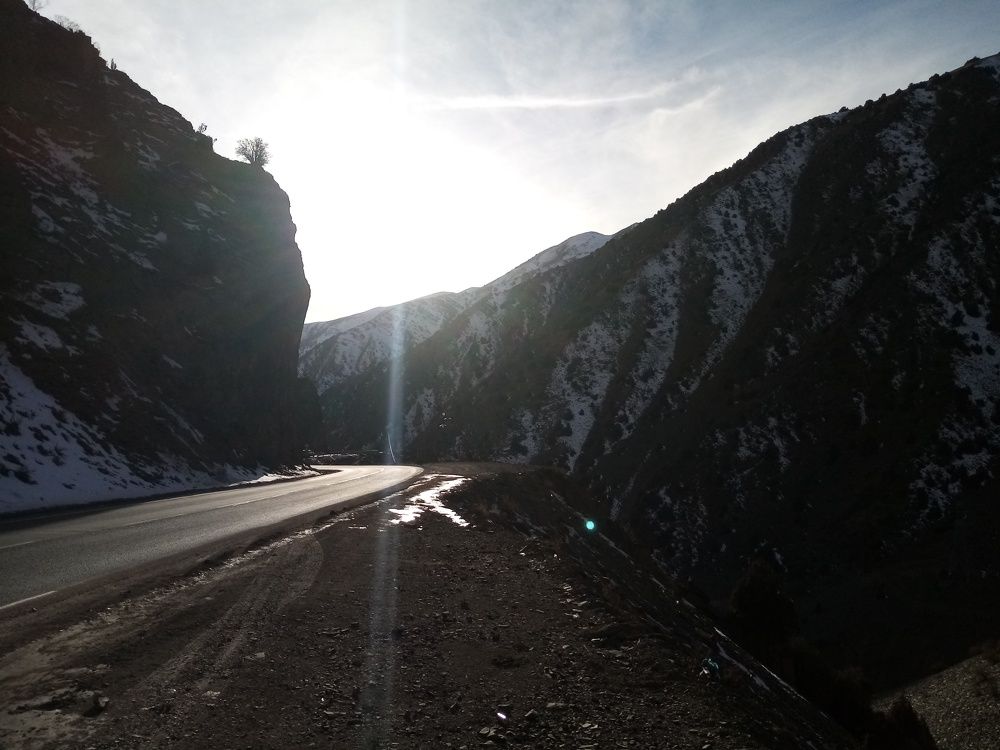 Photo #6913339