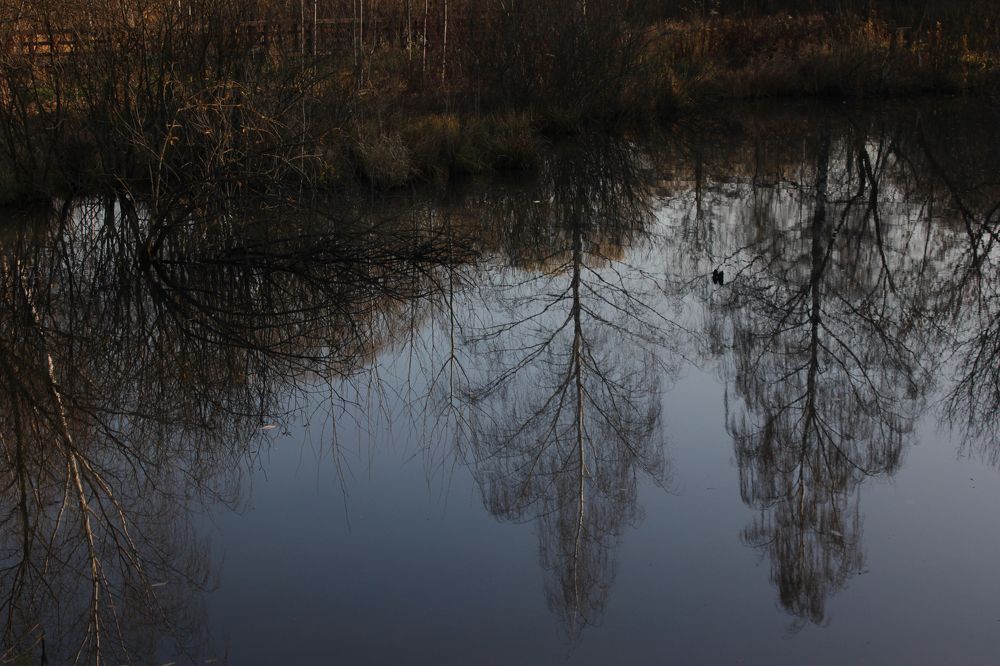 Photograph by Татьяна Аршинова