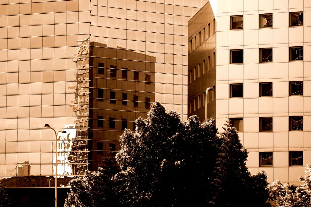 Photograph by Mike Sappojnikoff