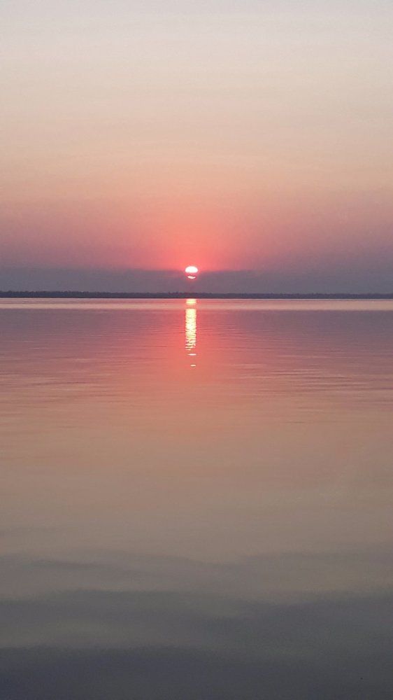 Photograph by Светлана Усатенко