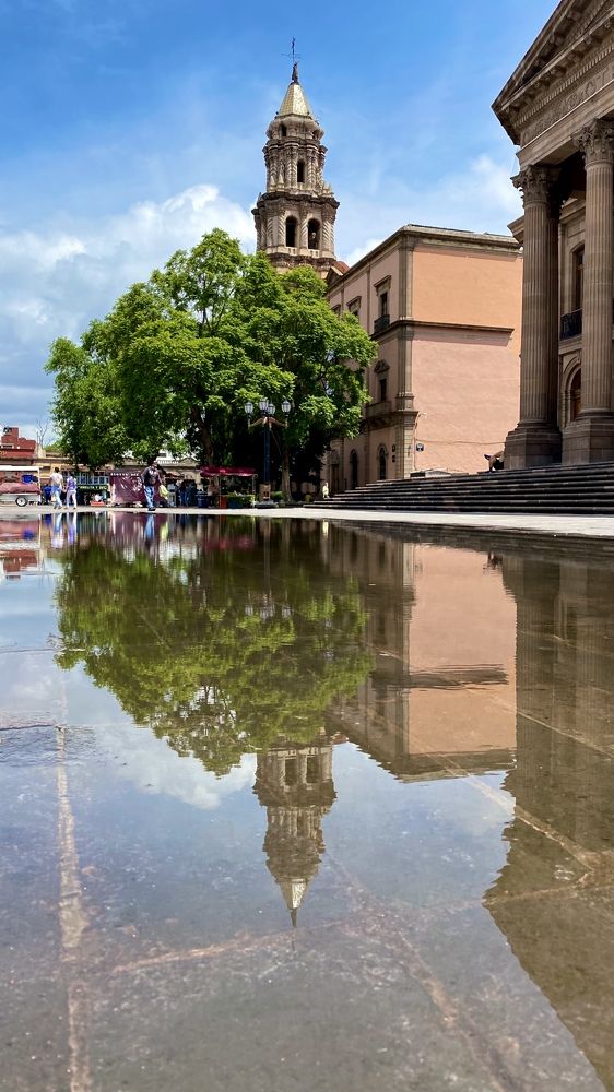 Photograph by Oxana Telupilova