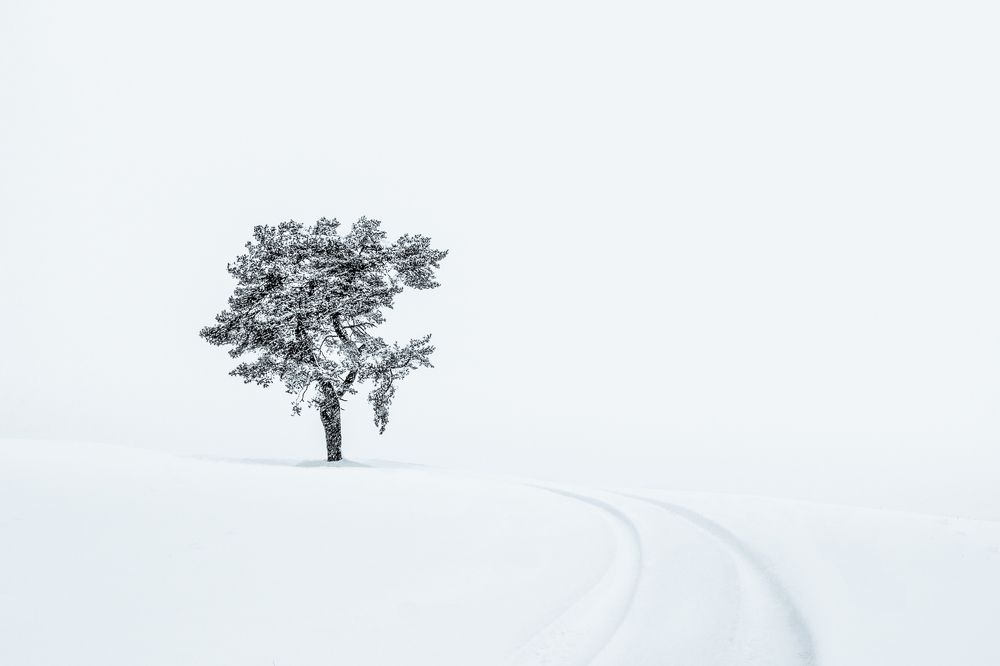 Photograph by Matus Mokan