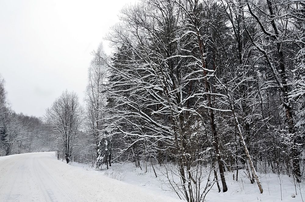 Photograph by Юрий Подвойский