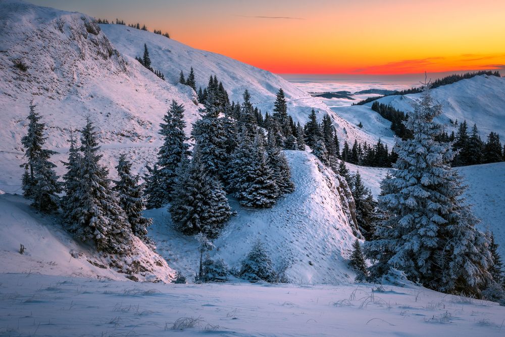 Photograph by Alexandru Handrache