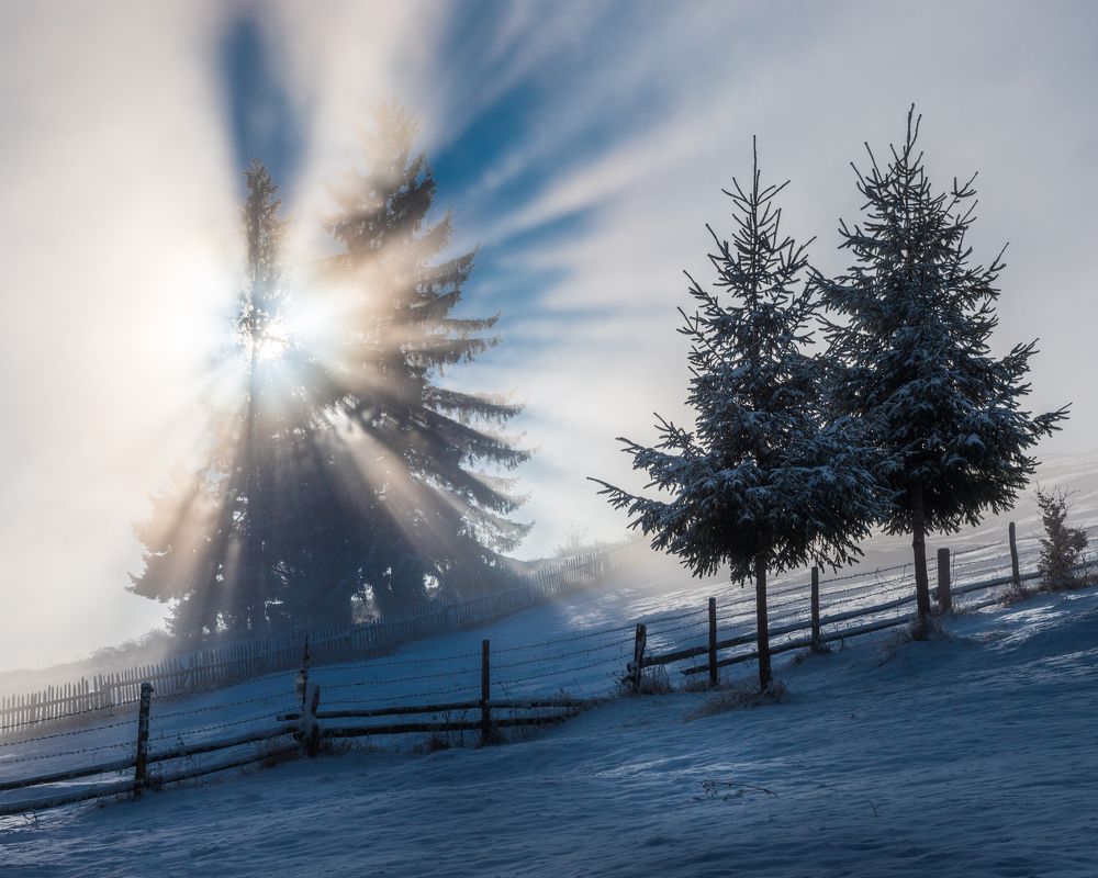 Photograph by Alexandru Handrache