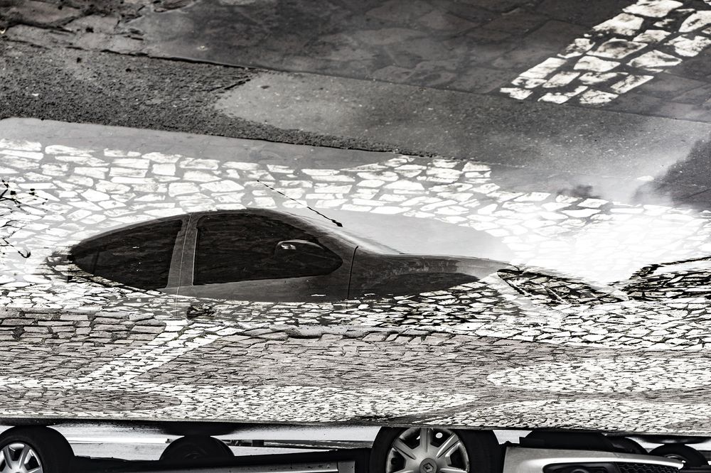 Photograph by Magali Alves