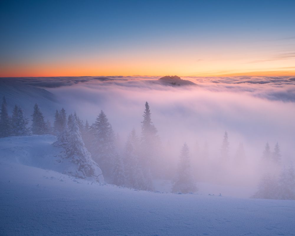 Photograph by Alexandru Handrache