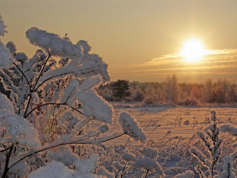 Photograph by Юрий Яковлев