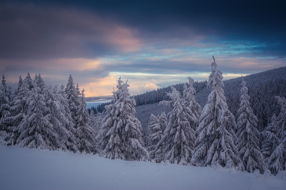 Photograph by Андрей Ожерельев