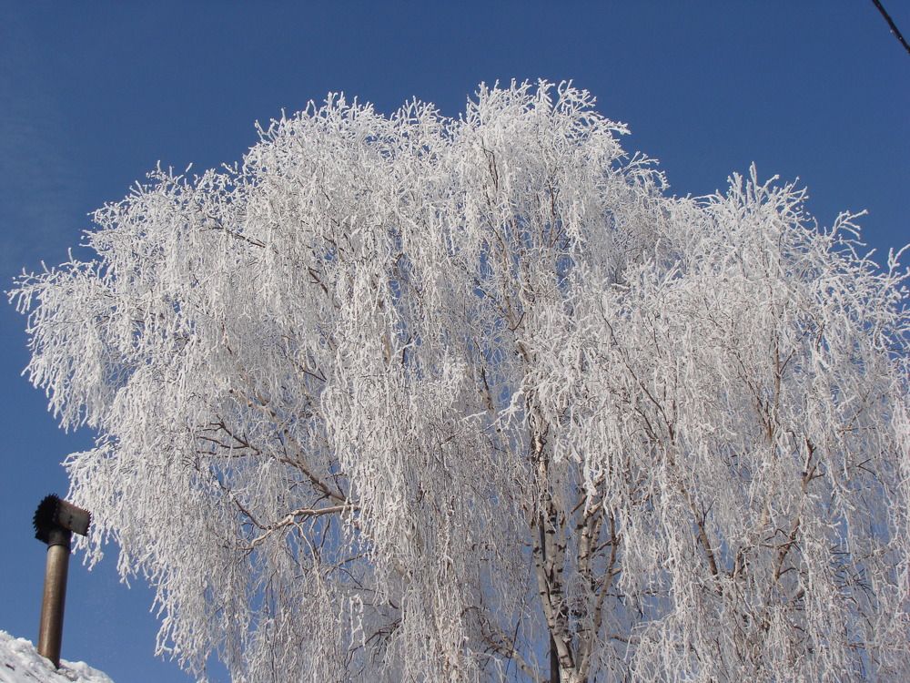 Photograph by Николай Худяков