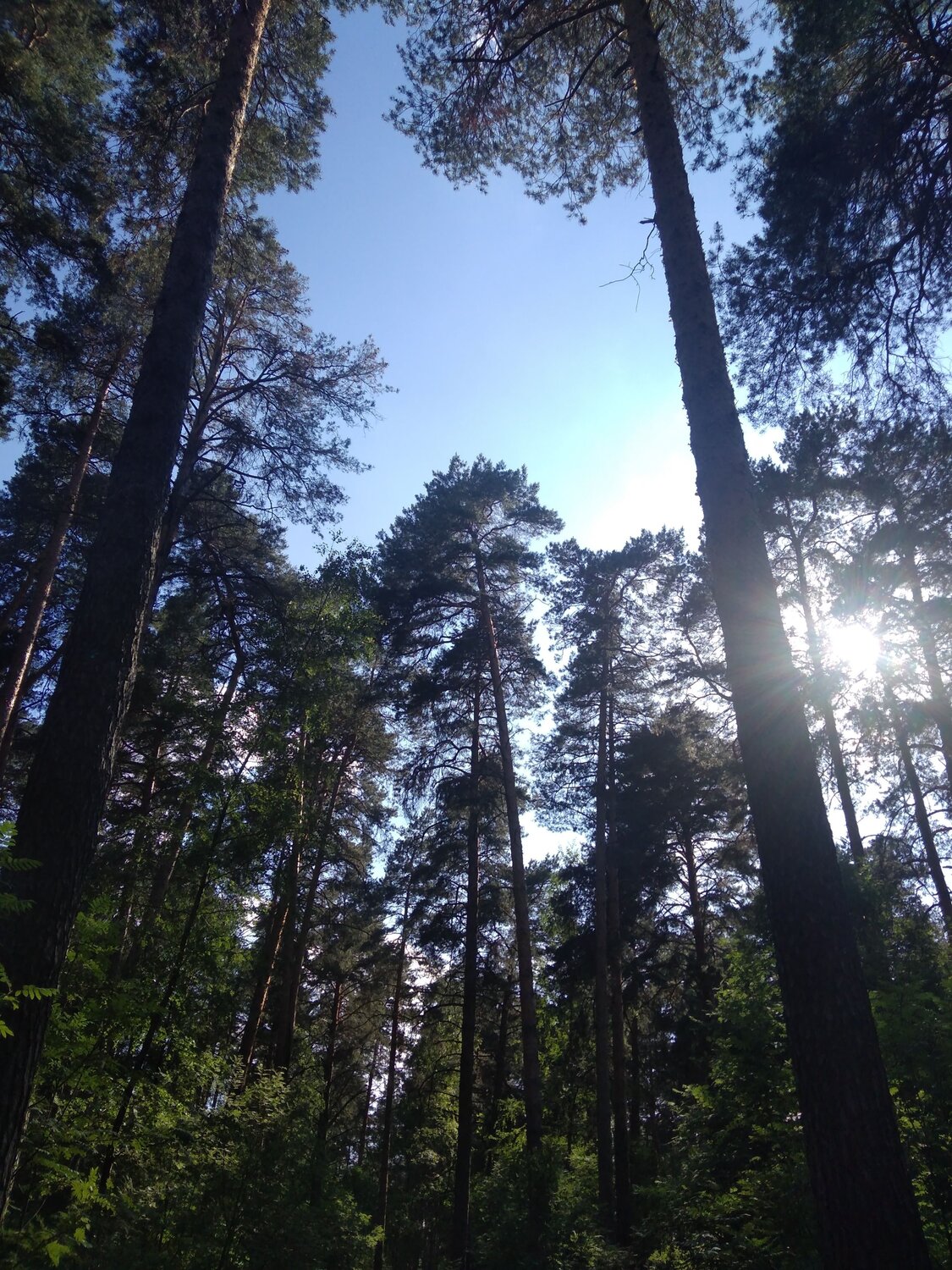 Photo #6913638