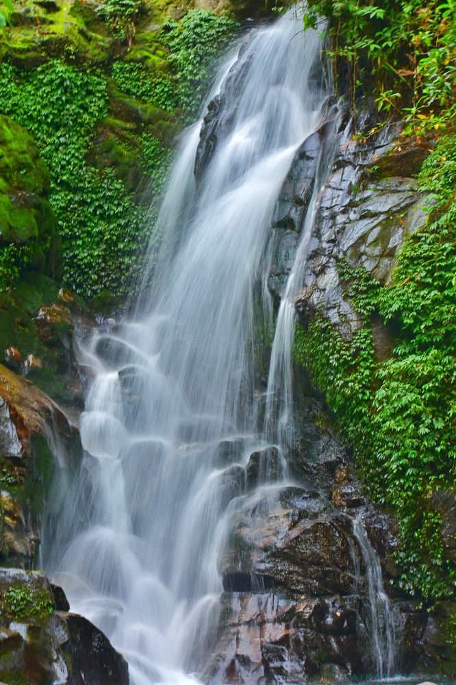 Photograph by SAIKAT PAL