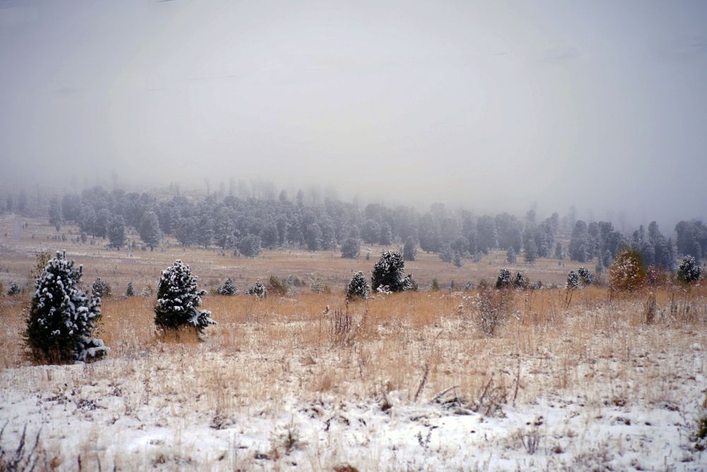 Photograph by Анна Воронова