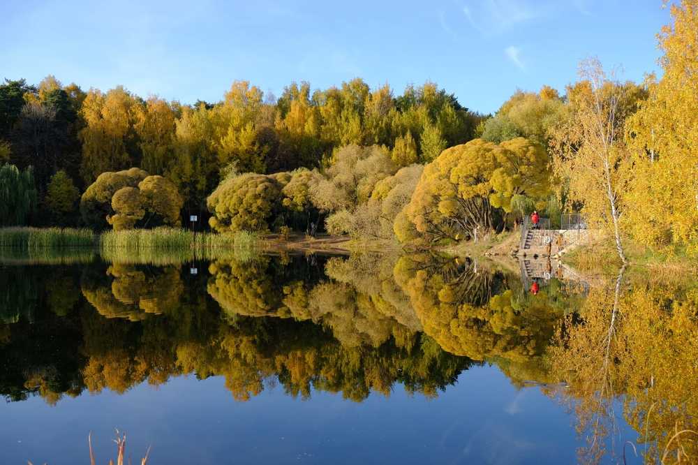 Photograph by Елизавета