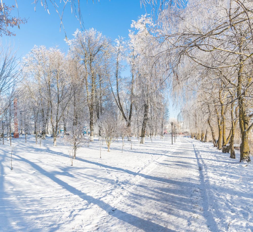 Photograph by Дмитрий Шудель