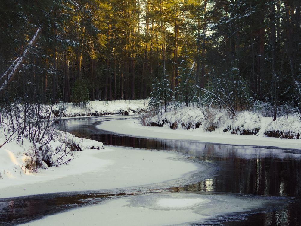 Вачимъяун в начале зимы.