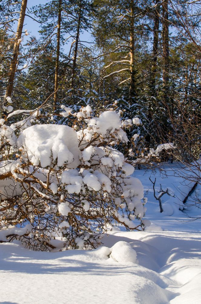 Фотография автора Александр Кадышев