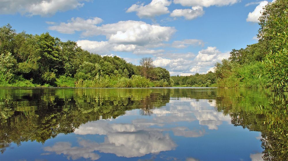 Photograph by Алексей