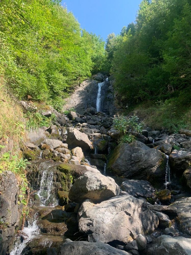 Фотография автора Людмила Леонова