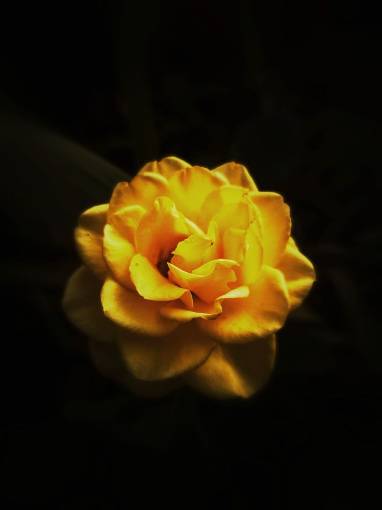 Photograph by Alexey Berger