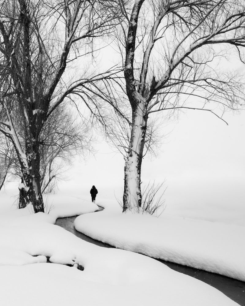 Фотография автора Alipour mohammad