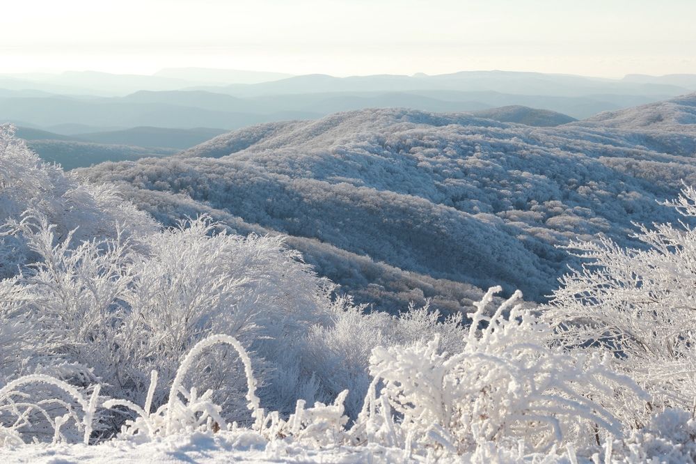 Photograph by Дарья Расшивина