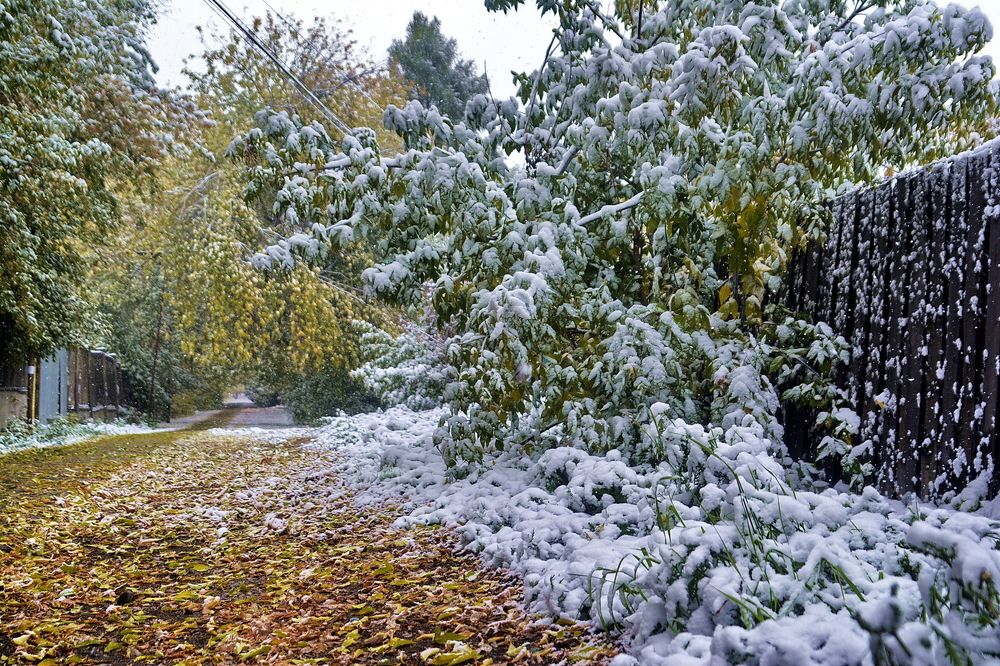 Photograph by Юрий Назыров