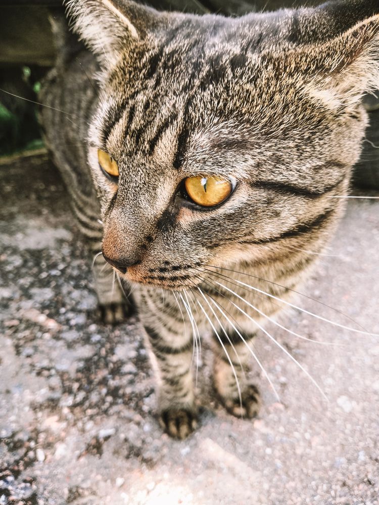 Photograph by Юлия Мулданин