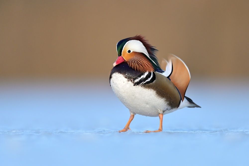 Photograph by Lubomir Novak