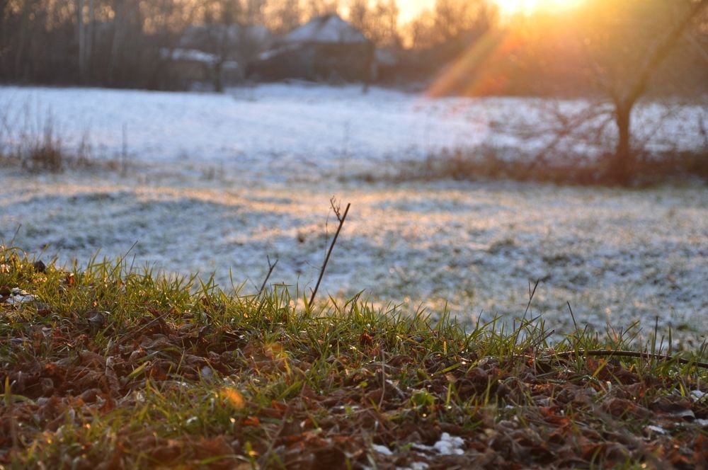 Photograph by Галина Лысых